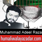 https://www.humaliwalyazadar.com/2018/09/muhammad-adeel-raza-nohay-2019.html