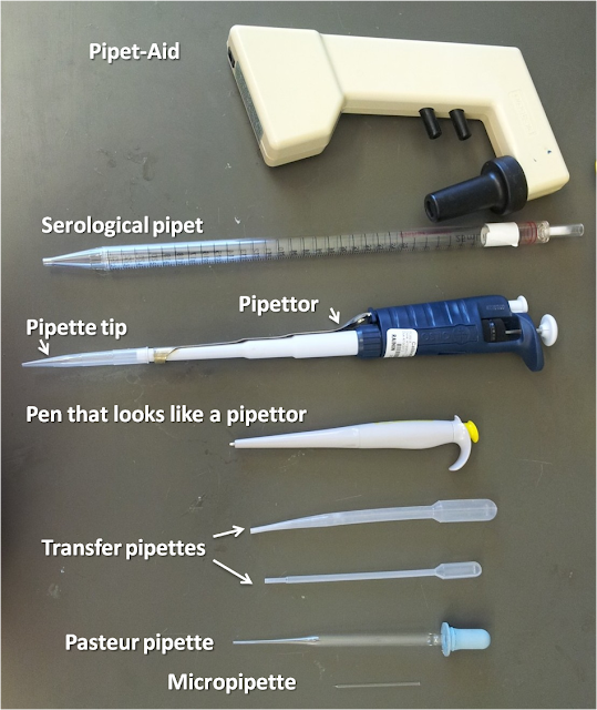 Pipette Dictionary American at Kera Davis blog