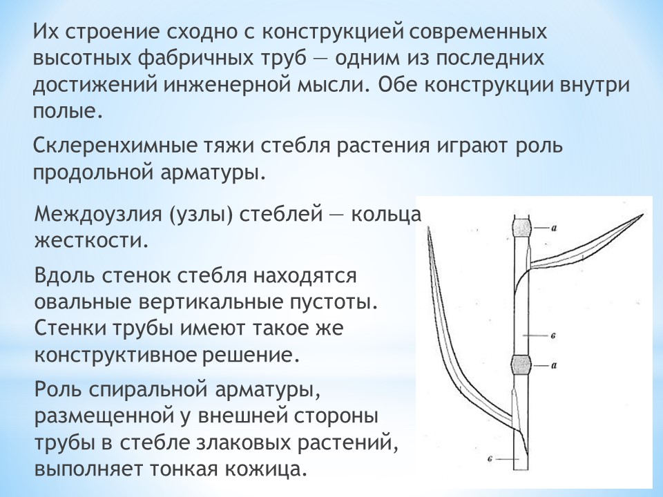 Технология бурения водозаборной скважины. Водоносный горизонт грунтовые воды слоя. Вертикальная полость глубиной менее 20 м называется. Элементы качки судна. Вертикальная полость глубиной менее 20 м называется.