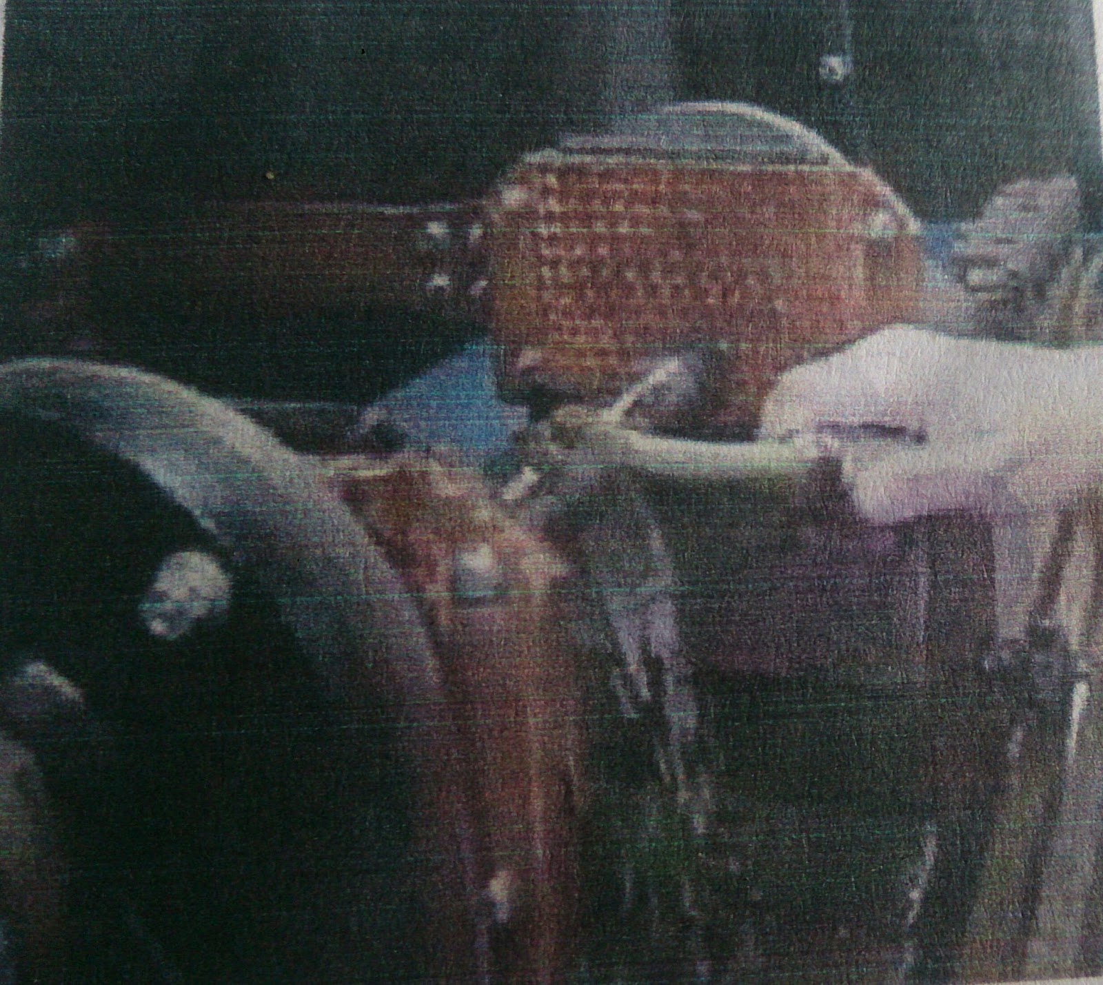 Best technical knowledge Stationery Equipment for Particle