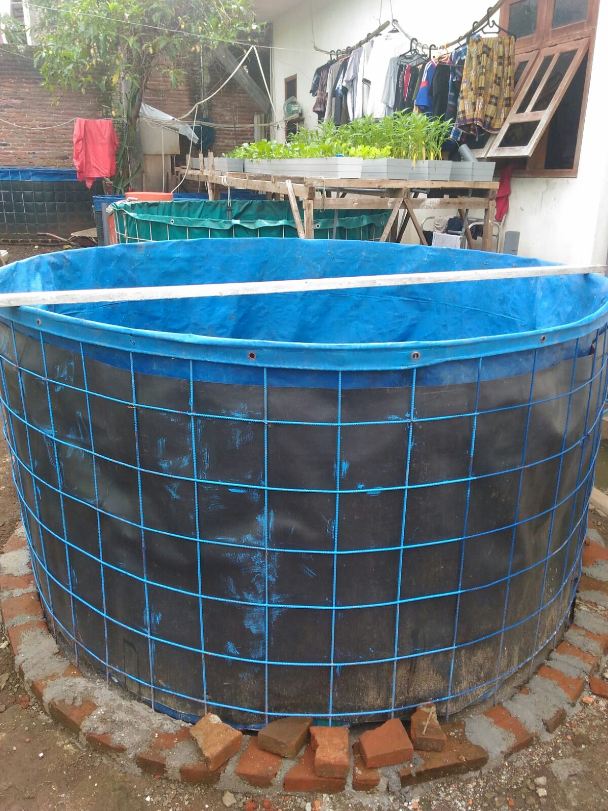 Jual Terpal Kolam Ikan Palembang Tentang Kolam Kandang Ternak