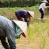 ແບບນີ້ກໍມີ..!!! ສານຕັດສິນອະດີດນາຍບ້ານສໍ້ໂກງຊັບ ບັນຫາທີ່ດິນເປັນຫລັກ