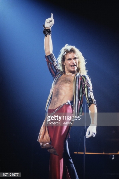 Zona Rock Dan Metal : DAVID LEE ROTH