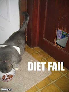 obese cat breaks door to reach food