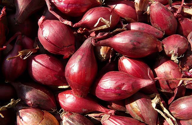 Apa Benar Bawang Merah Bisa Dijadikan Parfum? Apa Benar Bawang Merah Bisa Dijadikan Parfum?