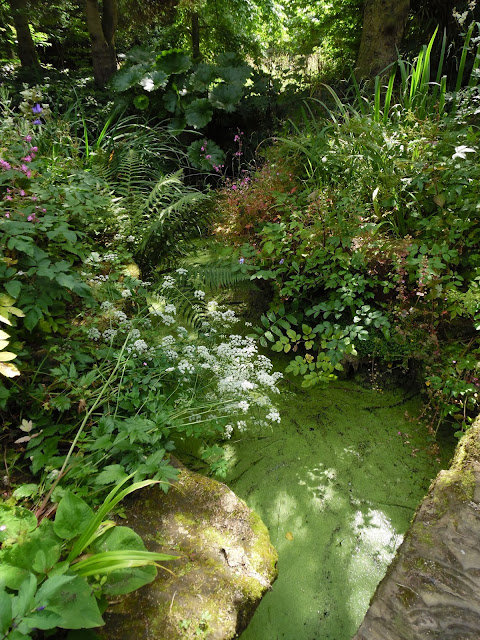 woda w ogrodzie w wersji mini