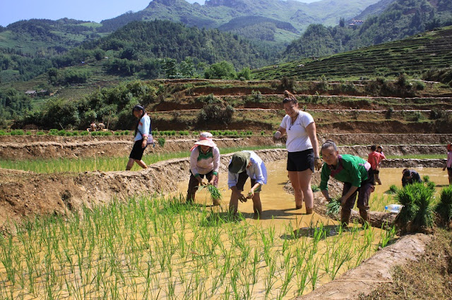 Memorable experiences during a trekking trip in Sapa 1