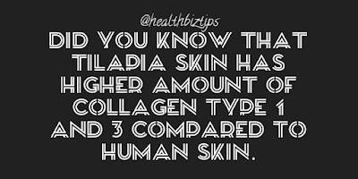 Did you know that tilapia skin has higher amount of collagen type 1 and 3 compared to human skin.