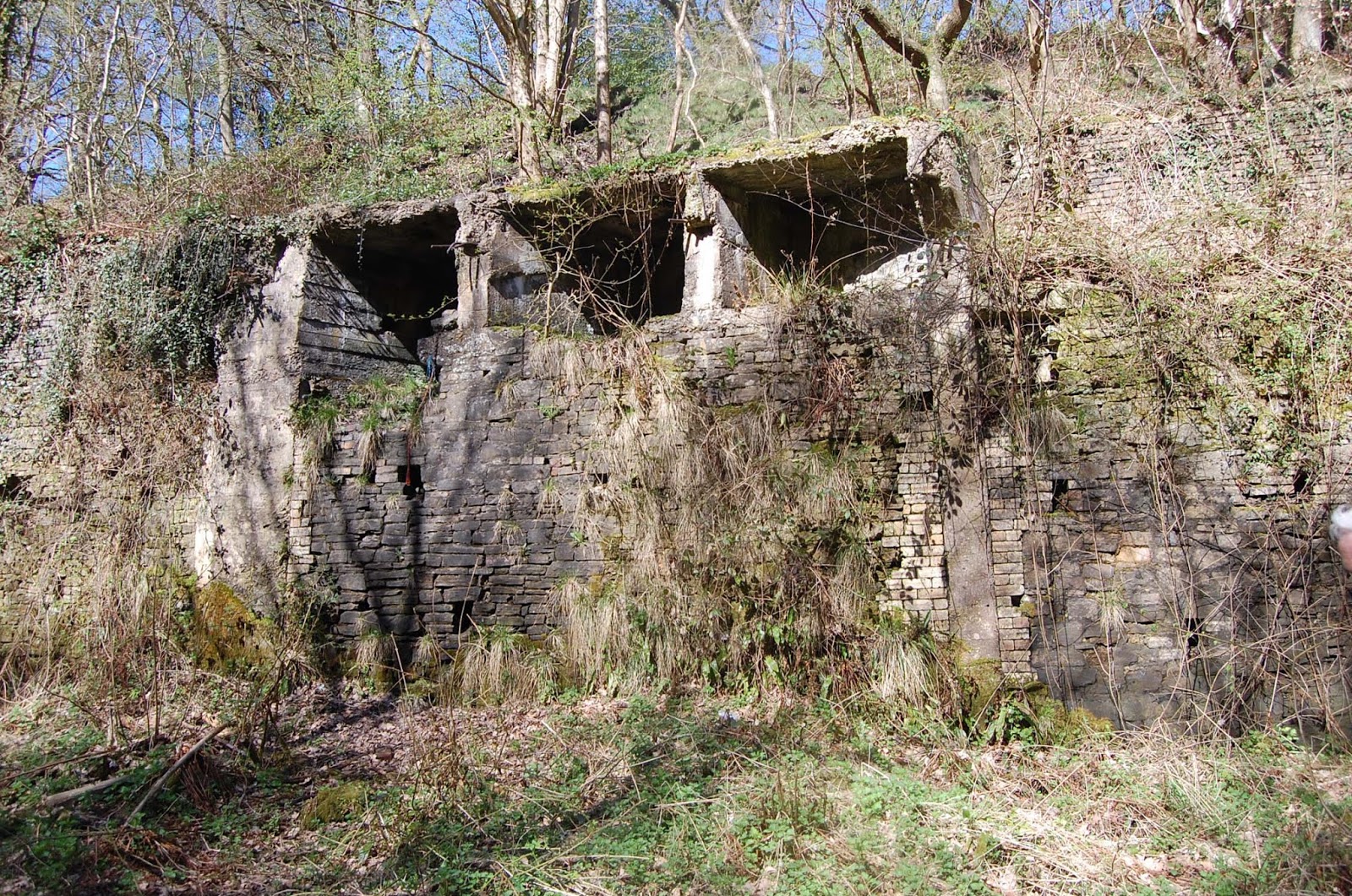 Stella strollers Blaydon Burn