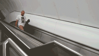 funny-pictures-man-falling-down-escalato