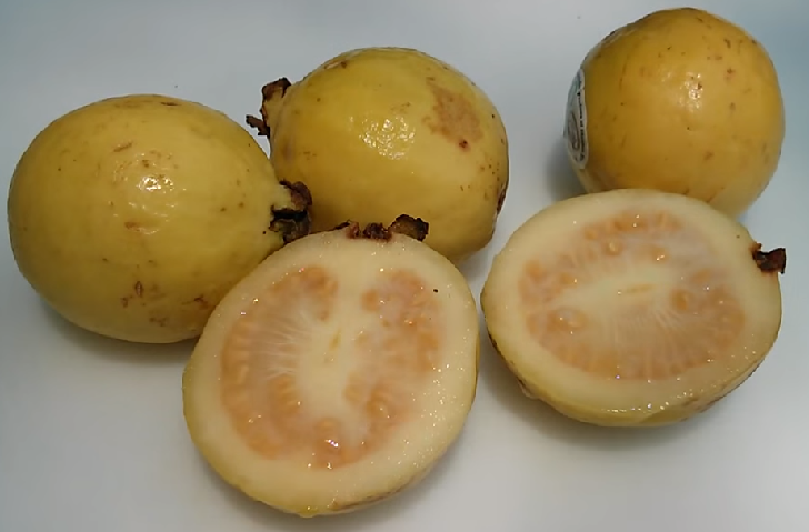 Cheaper fruits that can actually help you lose weight in the most delicious way Guava