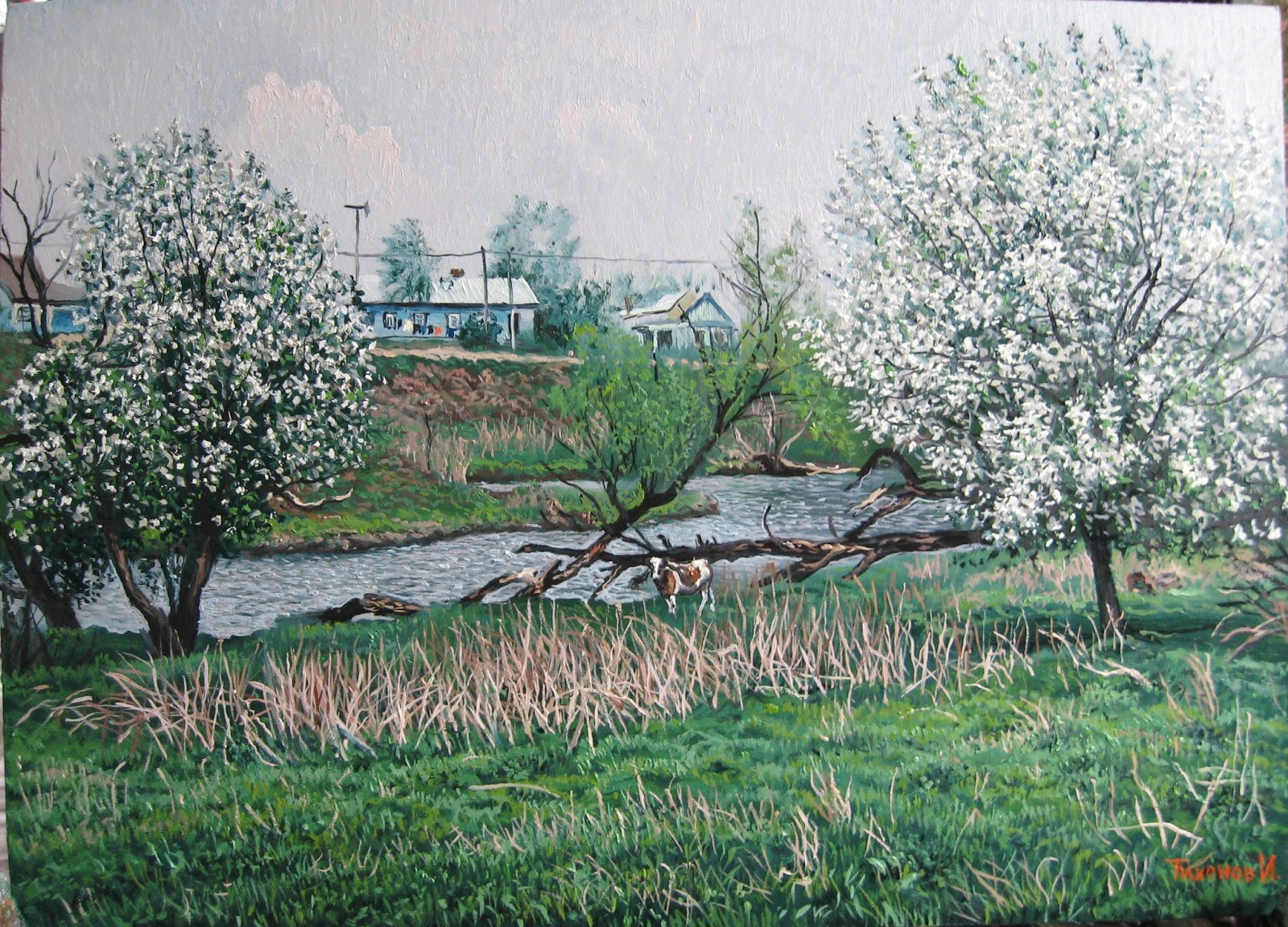 Цветущие сады в деревне