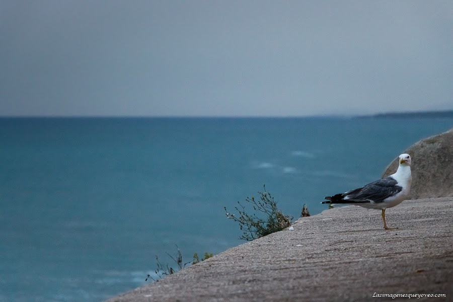 Patrón de composición fotográfica de espacio negativo