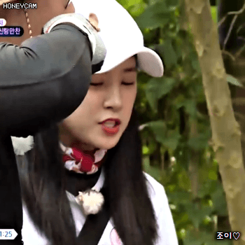 171117 정글의법칙 에이핑크 초롱이.gif | 인스티즈