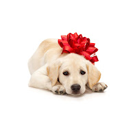 puppy christmas gift