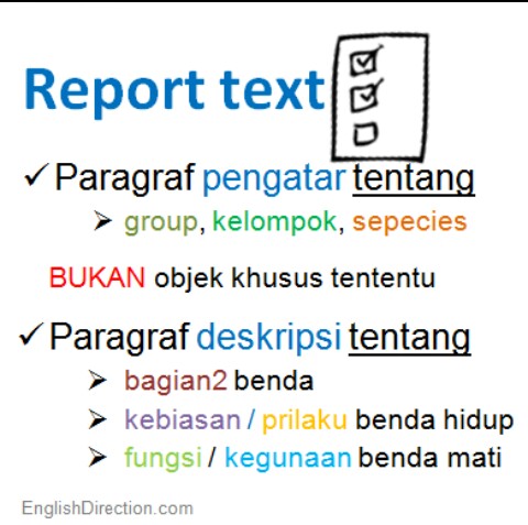Report txt