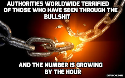 Kristof Gabriel Carina Van Hooymissen My Ancestor Lieven Once