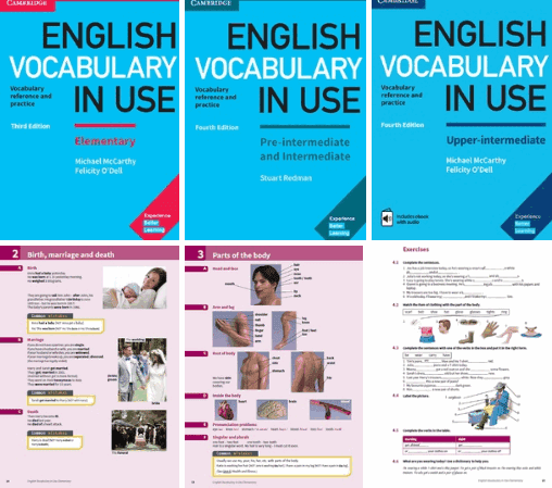 english vocabulary in use