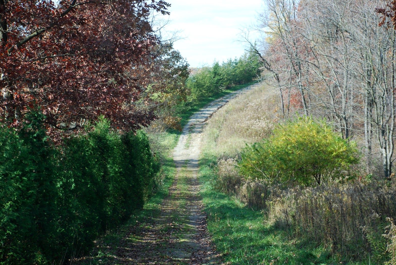 Cubbage Genealogy Those Places Thursday Rockdale Cemetery