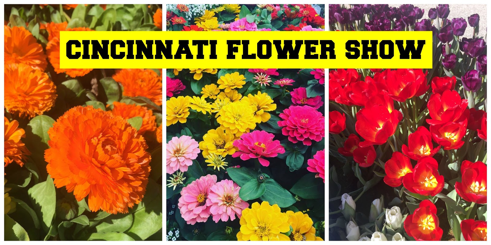 Diy Fun Diy Terrarium At Delhi Flower Garden Center The Food