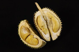 durian-www.healthnote25.com