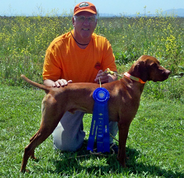 Willowynd Ranch Vizslas & Bird Dog Training Some "Win" Photos