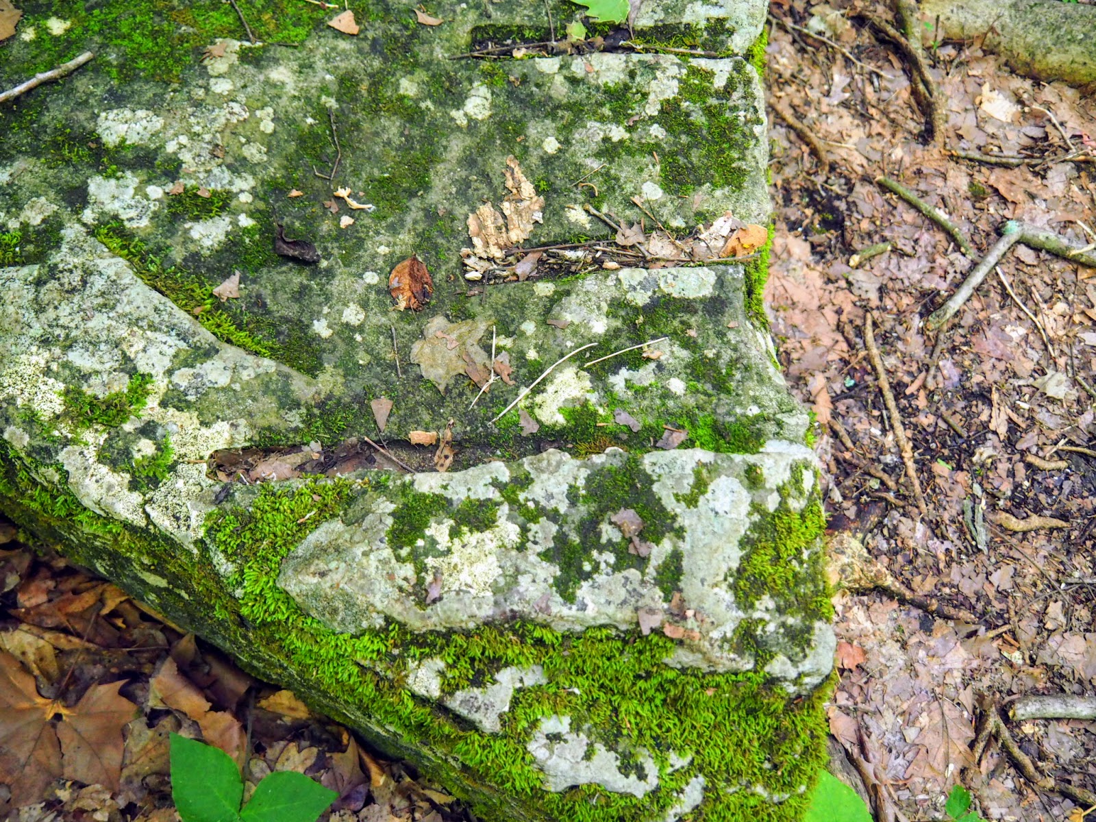 Spencer, IN McCormick's Creek State Park, Old State House Quarry
