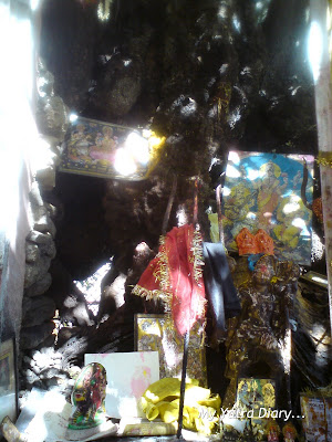 Prayers to be offered here at the base of the Kalpvriksha in Joshimath in Himalayas