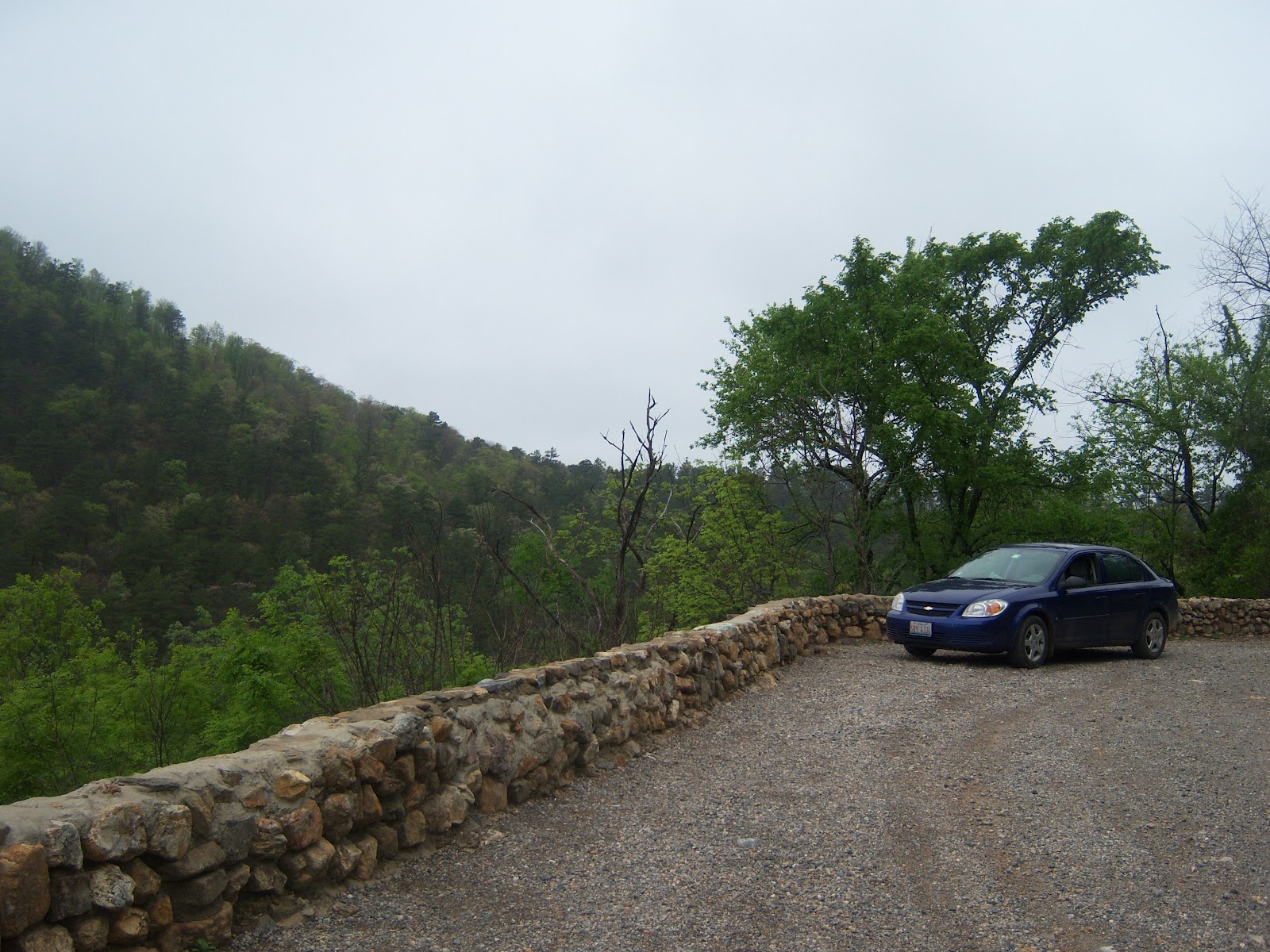Chicagoland Greenery Shady Lake in Ouachita National Forest, Arkansas