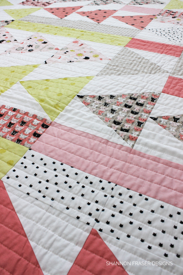 Shannon Fraser Designs Flight Plan Quilt A reminder to follow your