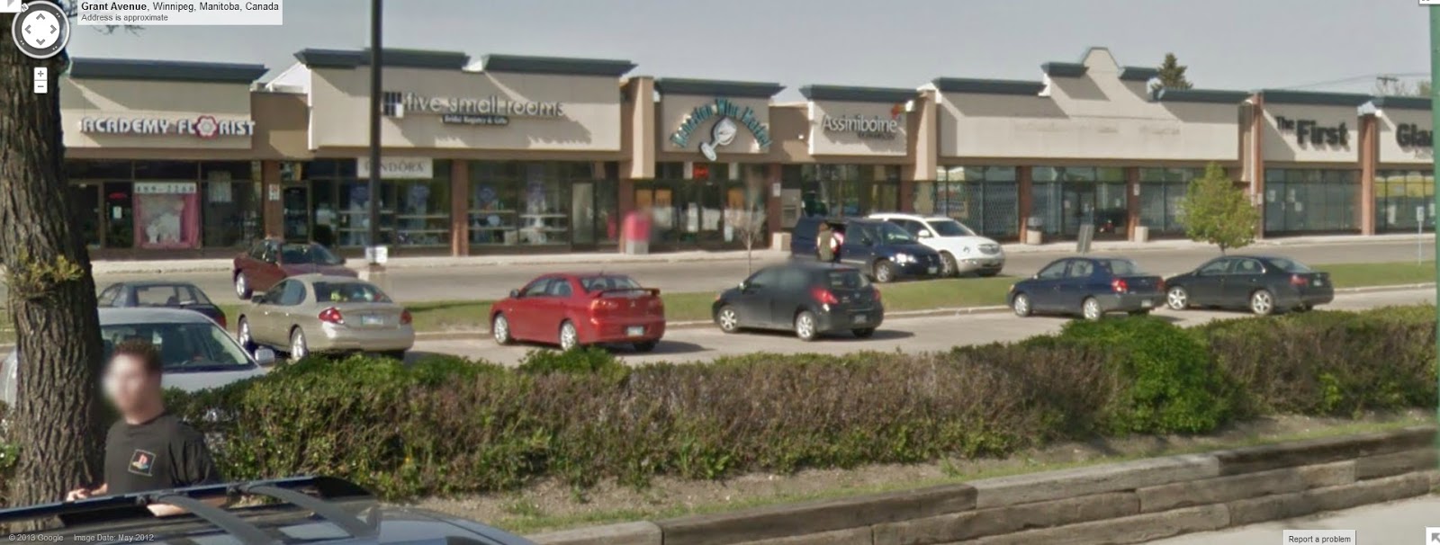 Observations, Reservations, Conversations Seasons of Tuxedo Kenaston