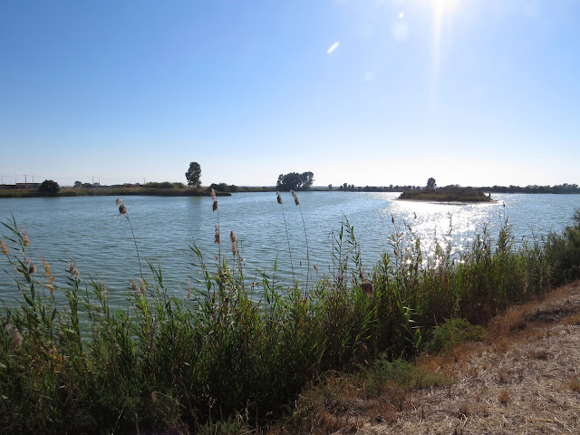 Laguna de Tarelo - Spain