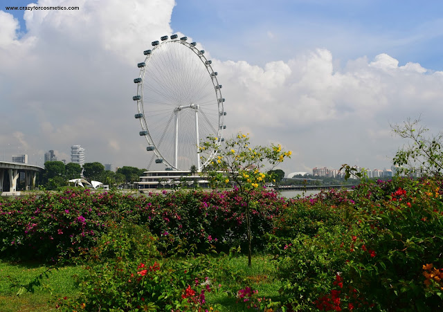 Singapore Flyer by the daylight