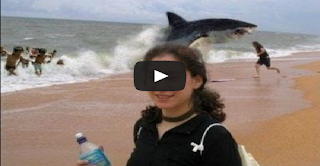 Shark Attack Beaches