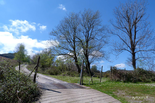 Sierra de Pesquerín - Piloña - Asturias Sierra de Pesquerín - Piloña - Asturias