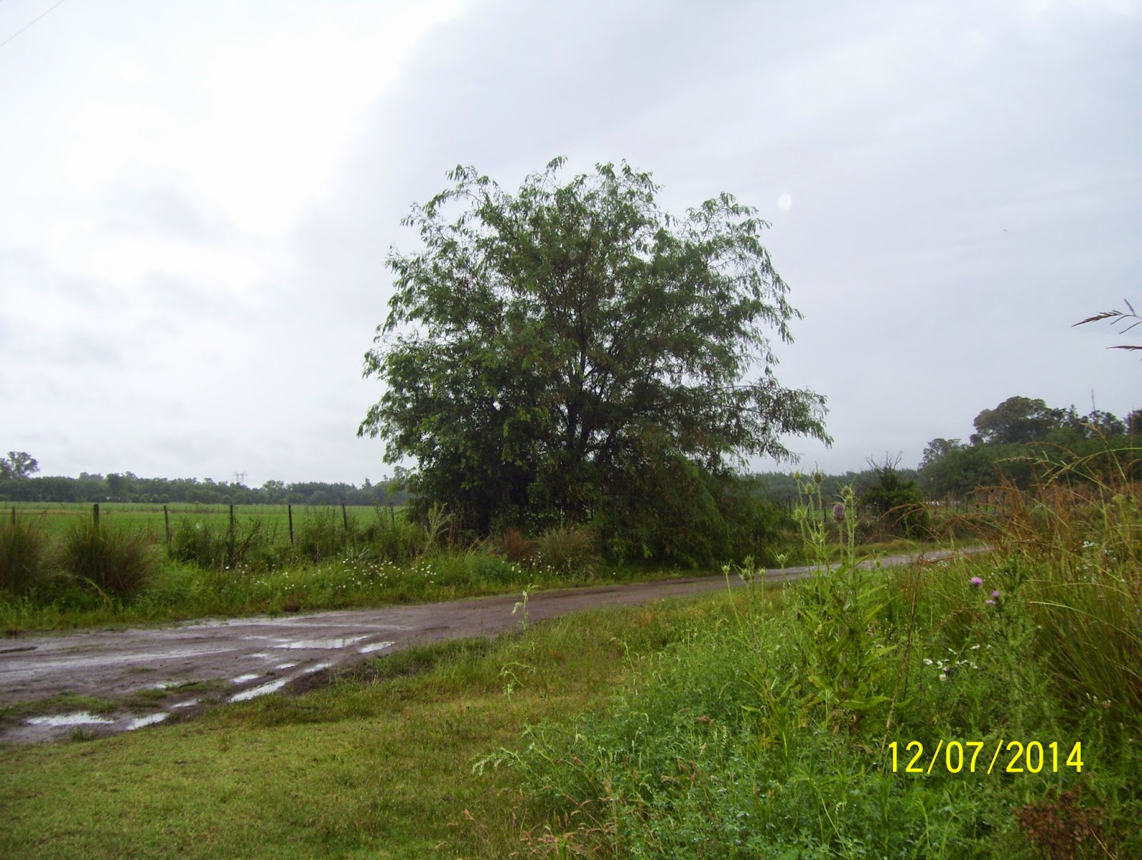 historias con pueblos ZENÓN VIDELA DORNA