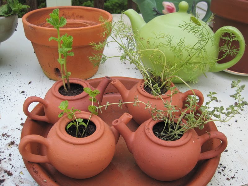 Tea With Friends Herbs in my teapots