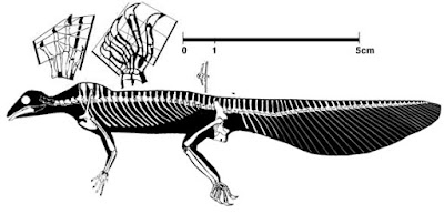 triassic reptils