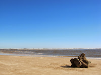 paisaje playa uruguay canelones