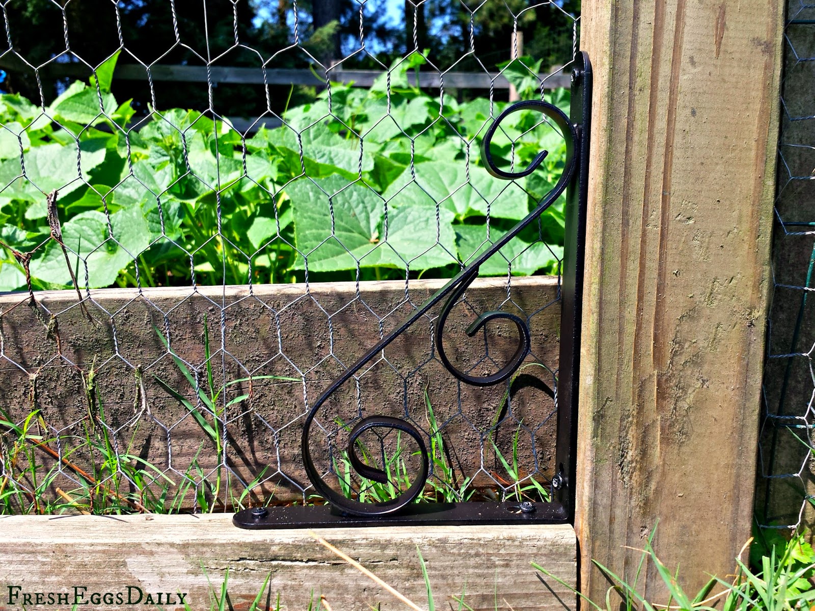 Our New Melon Garden - Stage One: Tilling and Planting | Fresh Eggs Daily®