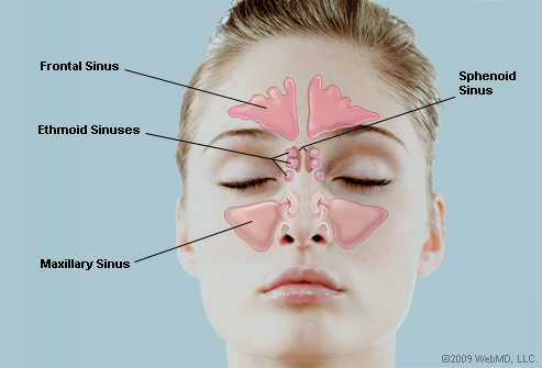 Healthy Inspirations: Healthy Sinuses