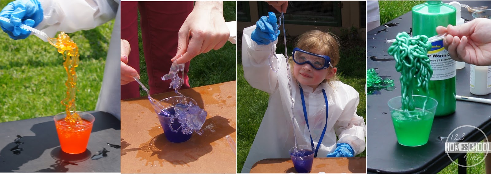 Worm Science Experiment