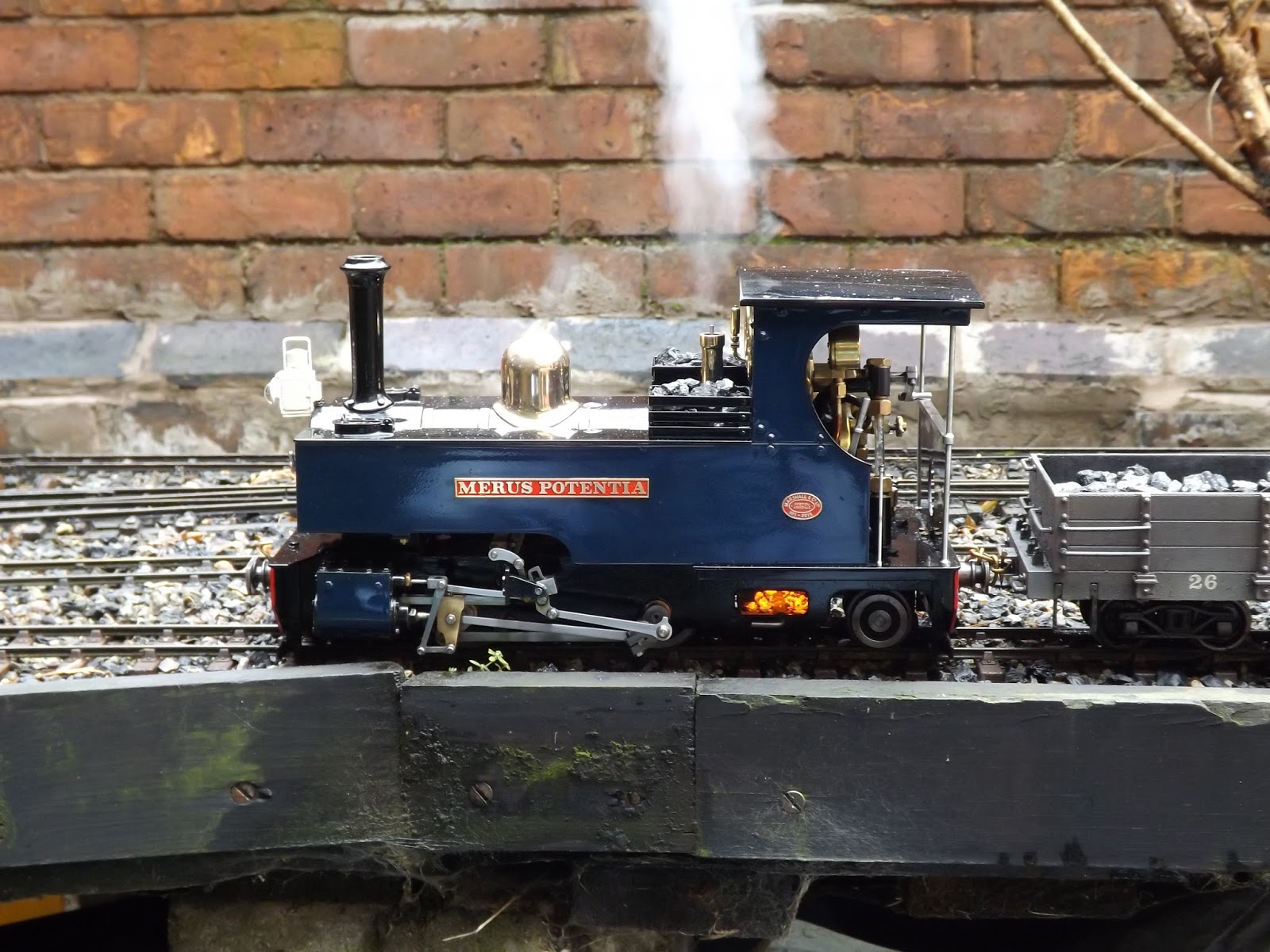 Sam's World 16mm Live Steam In The Garden...