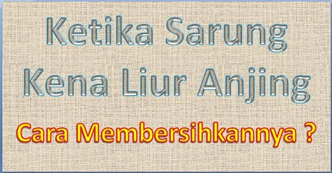 Ketika Pakaian Kena Mulut Anjing Apa Yang Harus Dilakukan