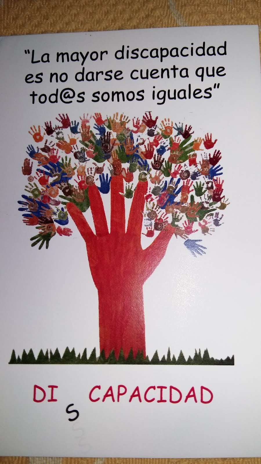 BIBLIOTECA CEIP GUADALHORCE: 3 de Diciembre, Día de la discapacidad