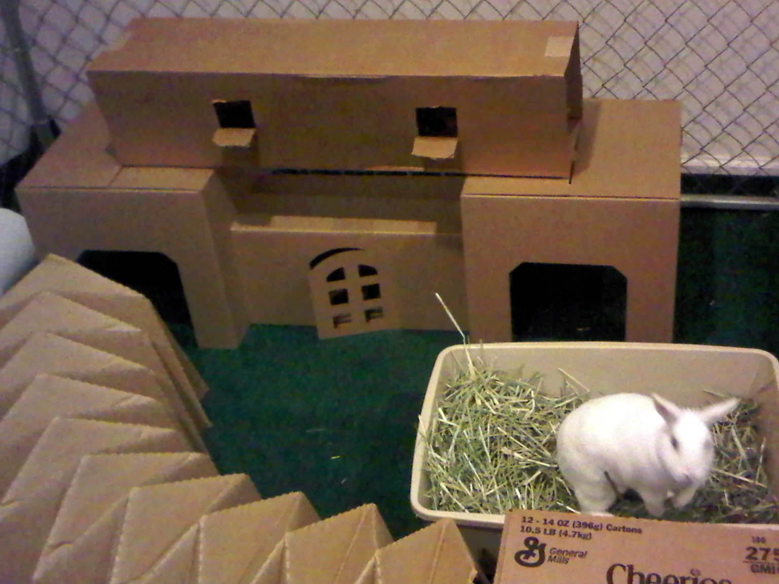 Rabbit Ramblings Modifications to the pen and cardboard