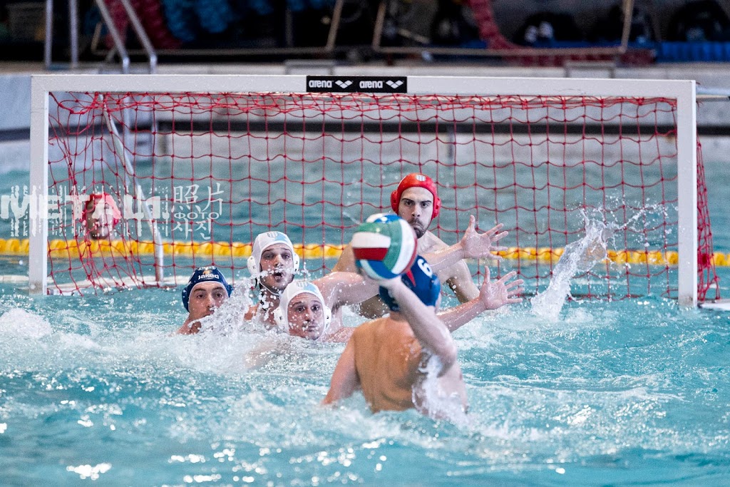 IMAGE: https://2.bp.blogspot.com/-JBztkxuogGw/VuWEkPAlT0I/AAAAAAAAEIU/KR-82bQQNGoVg5zaKPqp2g9feLFIAMEGA/s1024/WM4094007.JPG