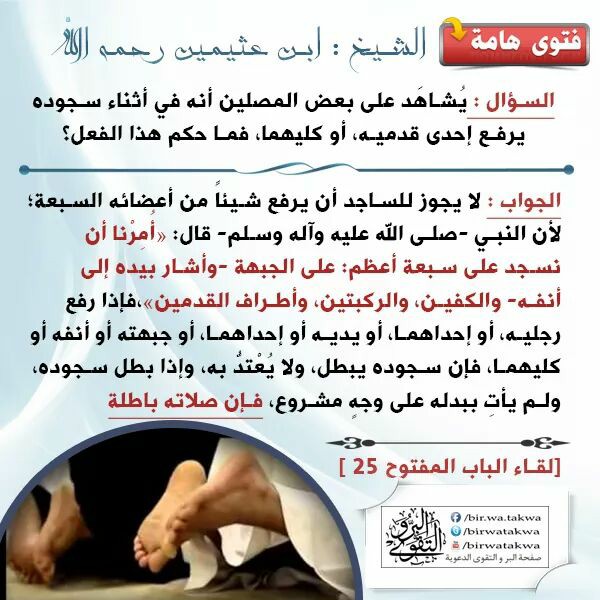 لا يجوز للساجد ان يرفع شيئا من اعضائه السبعة