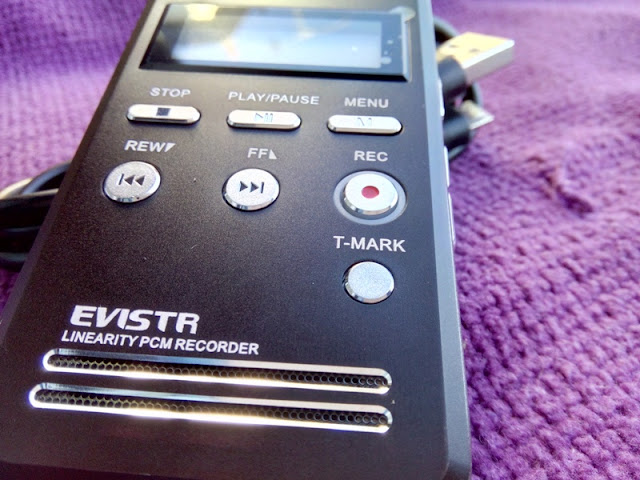 Details about   EVISTR Digital Voice Recorder 8GB L53-1536KPBS PCM Stereo Audio Recording Devi 