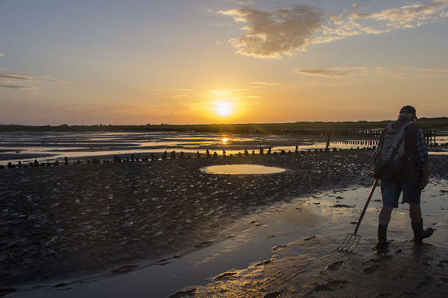 Langeoog, Watt, Nordsee, Ostfriesland, Wattwanderung, Ossi, Wattenmeer, Weltnaturerbe, 